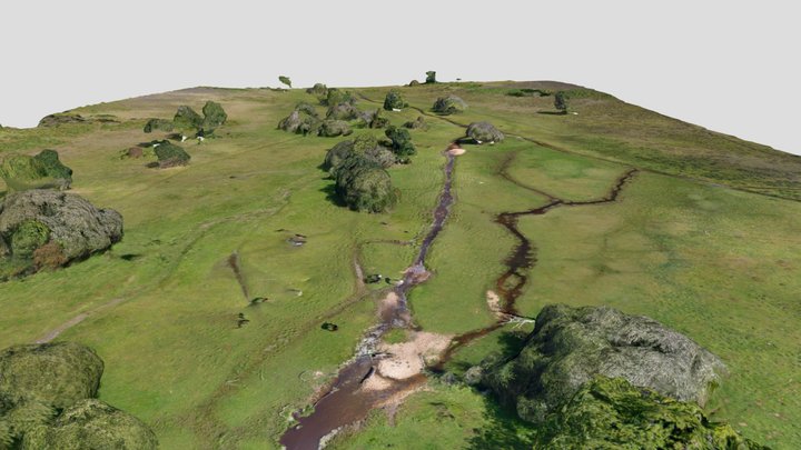 Ober Water / Mill Lawn Brook, New Forest 3D Model
