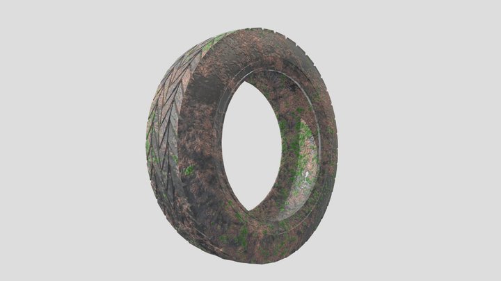 Dirty tire 3D Model