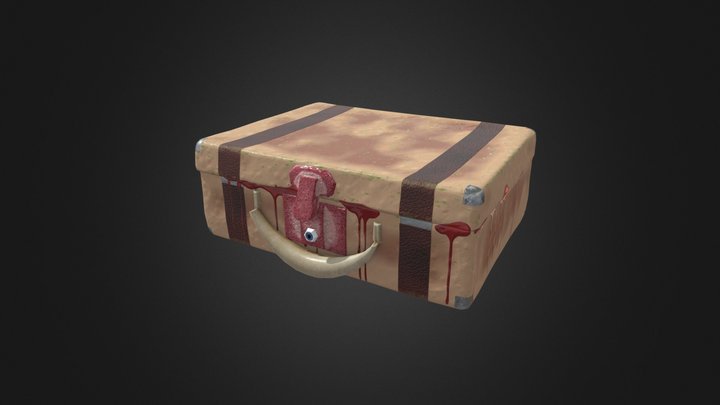 Flesh Suitcase 3D Model