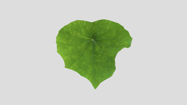 Lotus Leaf 3D Model – Kostenloses 3D-Modell STL