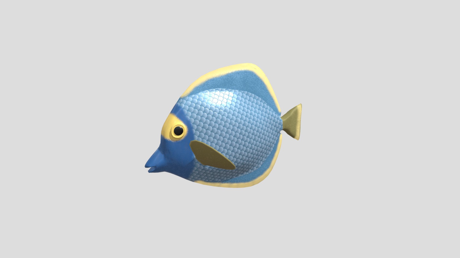 Fish