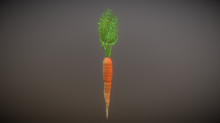 Carrot with leaves model 3D Model
