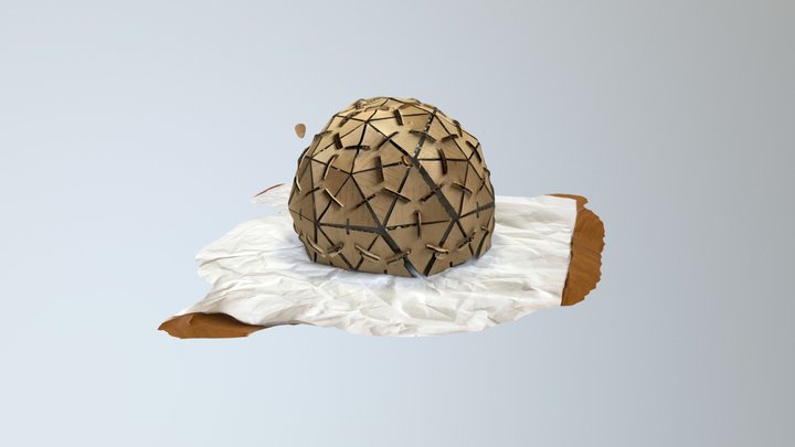 A TRNIO Model 3D Model