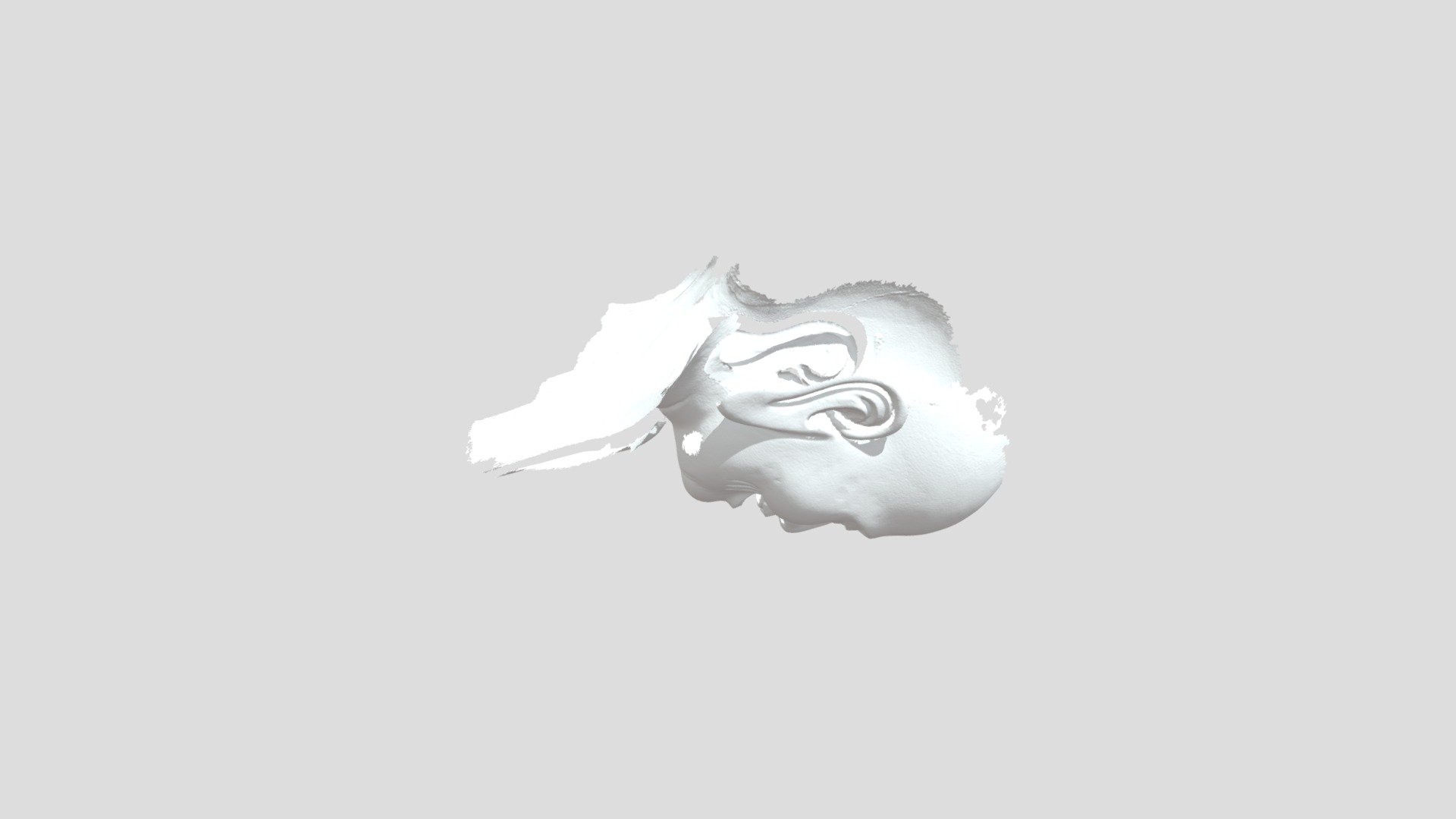 Scan - Download Free 3D model by ntgiap1412 [b85869f] - Sketchfab
