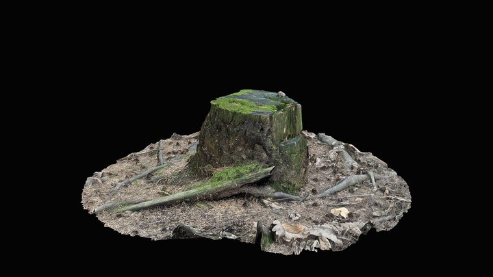 Tree Stump 2 3D Model