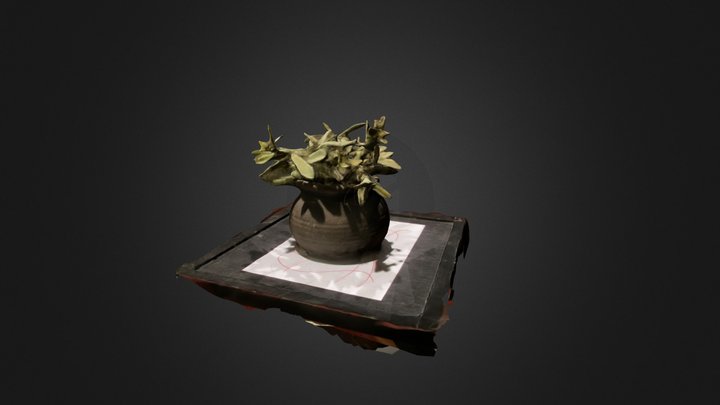 Object 1 - Plant 3D Model