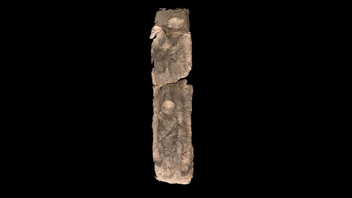 Gypsum Cast Burials - Yorkshire Museum 3D Model