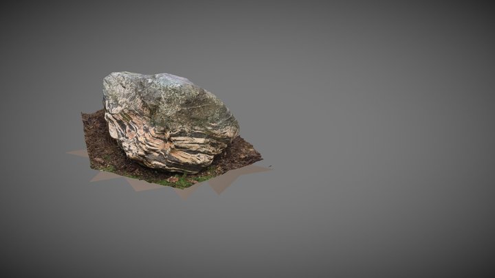 Rock with a tiger pattern 3D Model