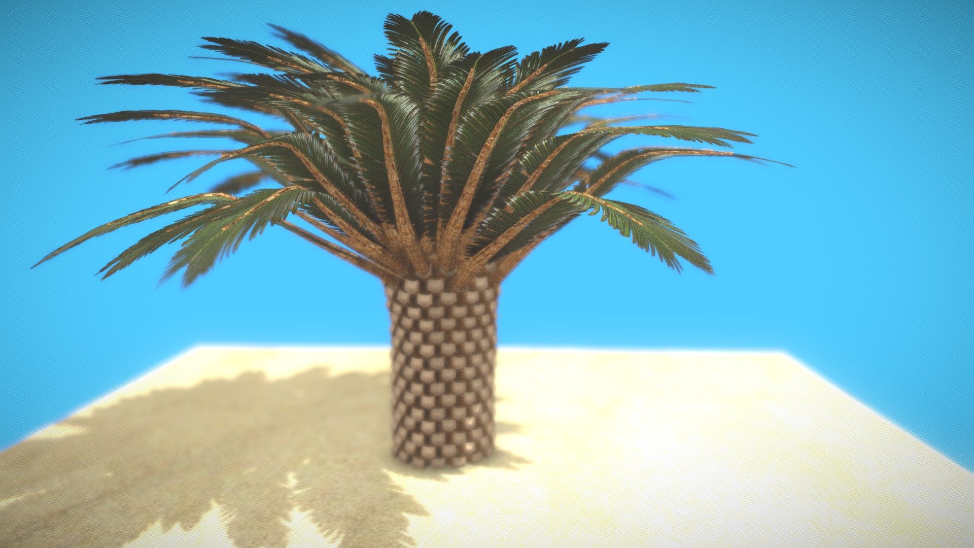 Retro Palm Tree - Download Free 3D model by BloodTea (@bloodtea ...