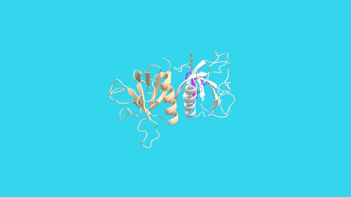 DNM1 structure 3D Model