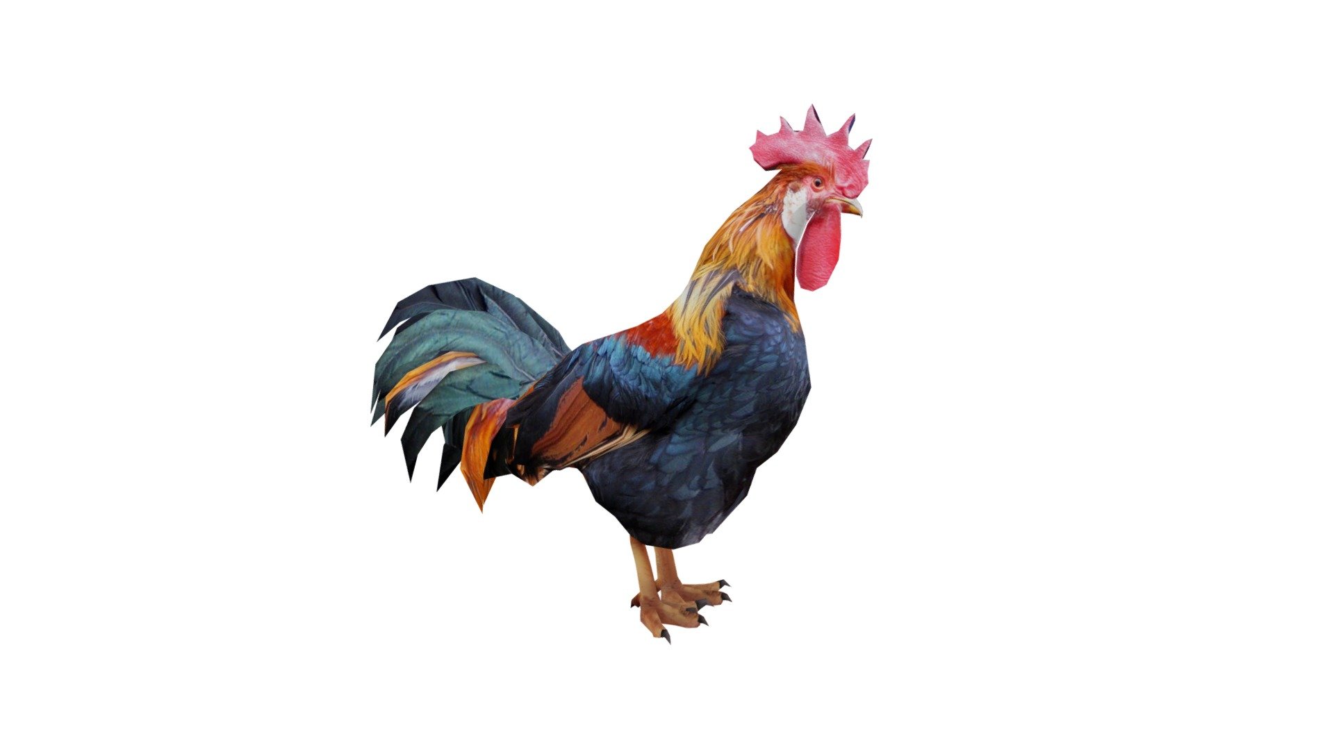 Rooster - Buy Royalty Free 3D model by 3DRT.com [b86b5ef] - Sketchfab Store