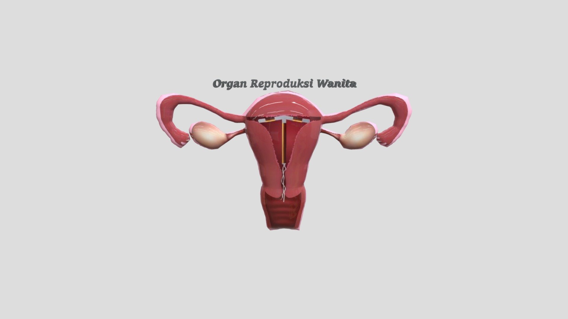 Men bu jojani judayam sikishni xohlayman