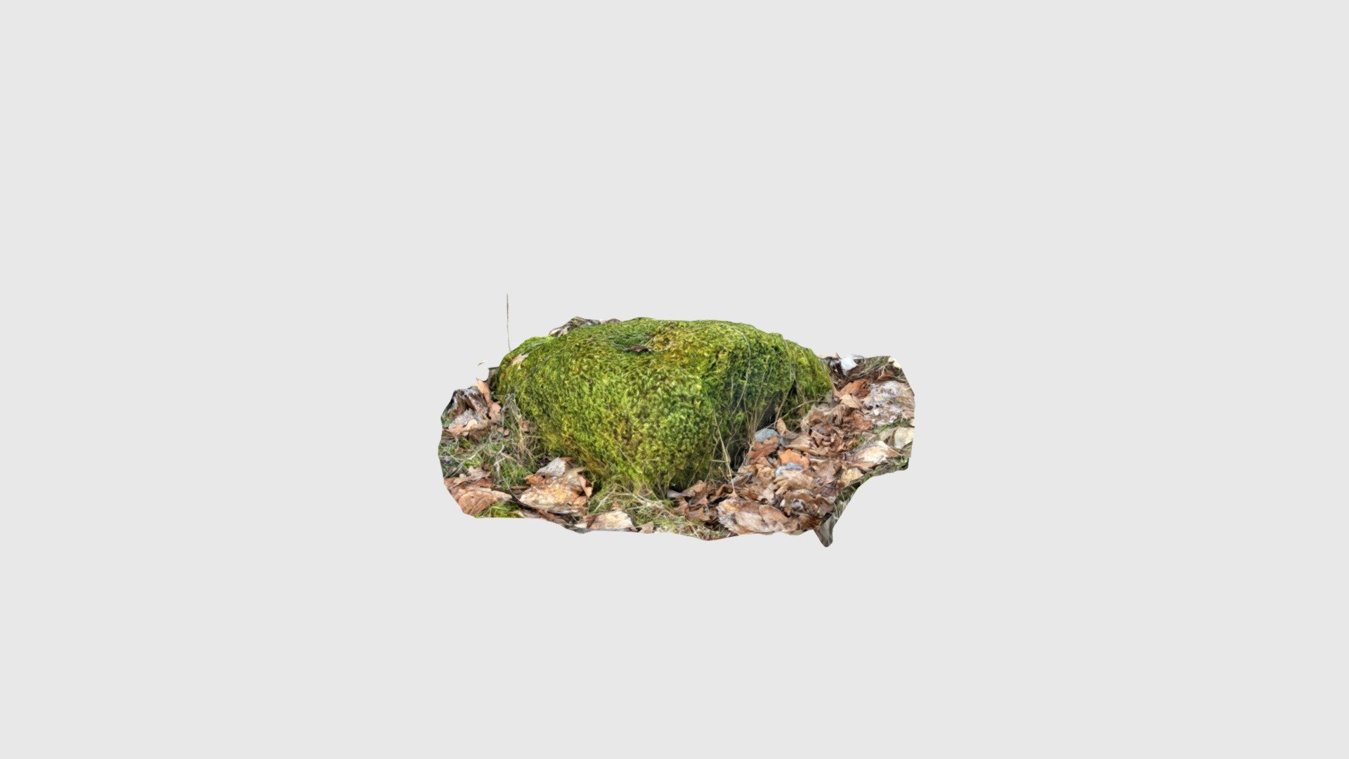 Mossy_boulder02
