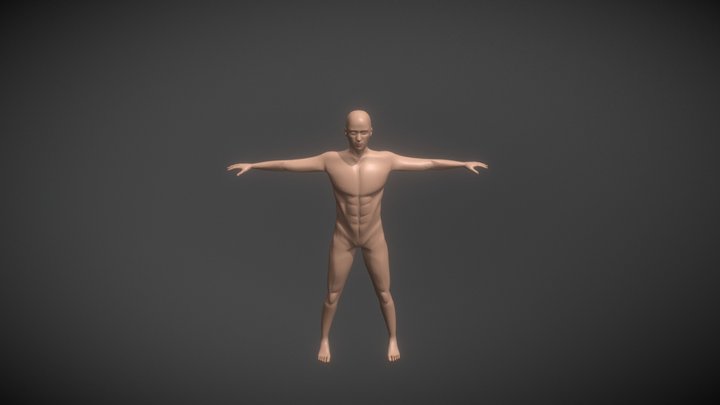 Humain 3D Model