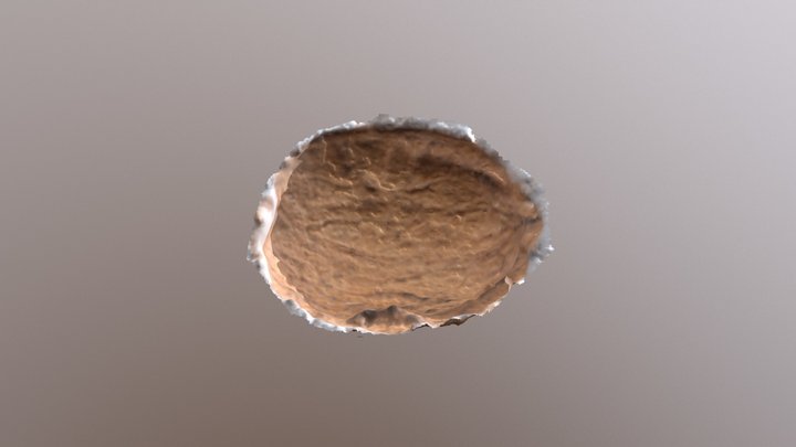 Nøtt1 3D Model
