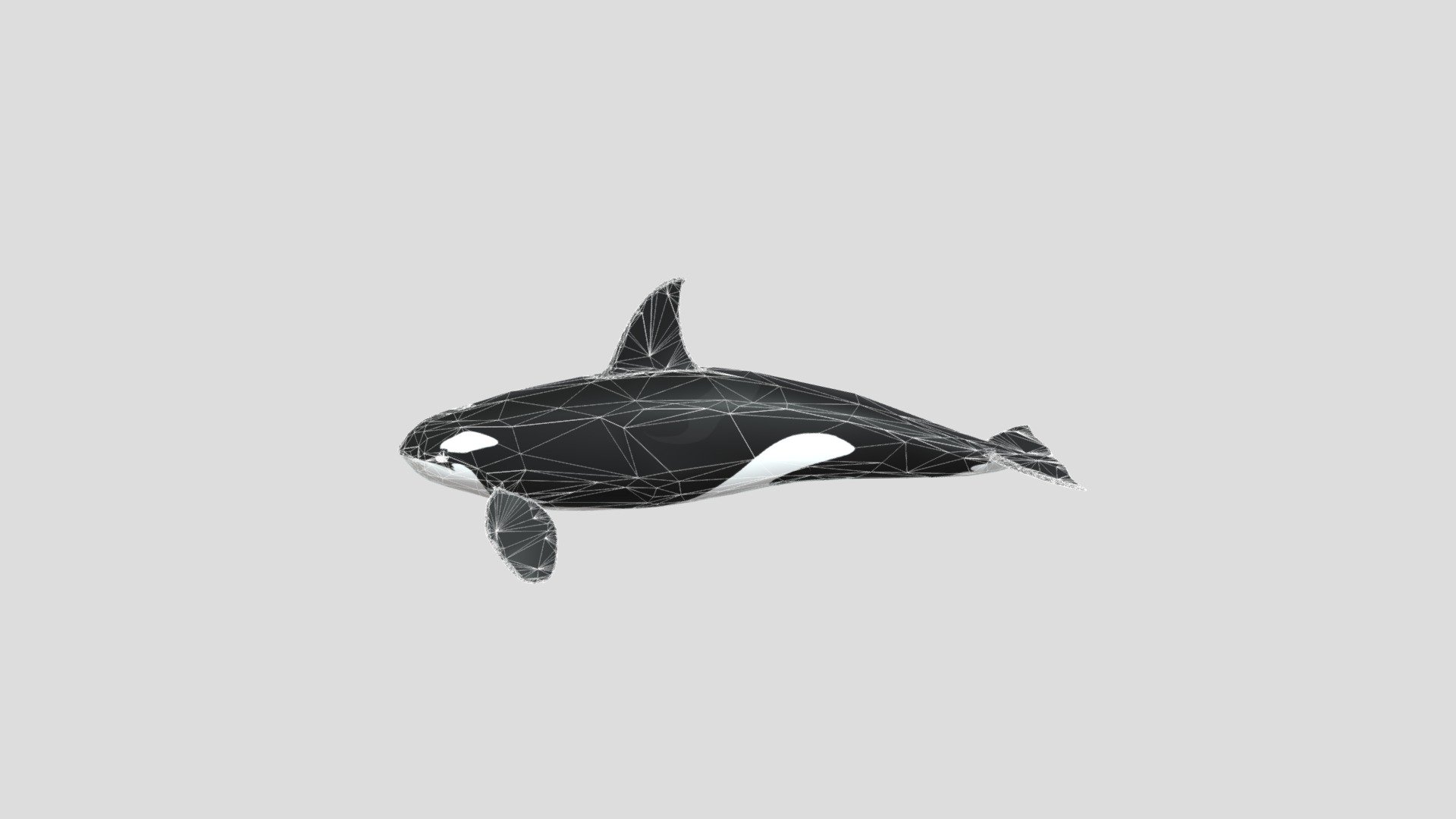 Orca v17272 - Download Free 3D model by andreysouzanascimento692 ...