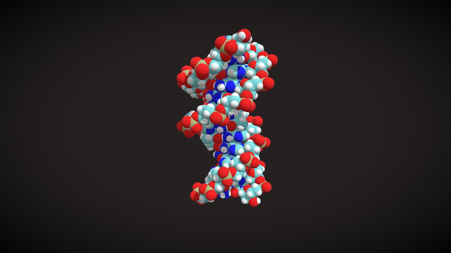 B DNA Space Filling Model Download Free 3D Model By Gvsuchem Gvsu   B3c7c5ea2834418c8c7eaa6798ea1a7e 