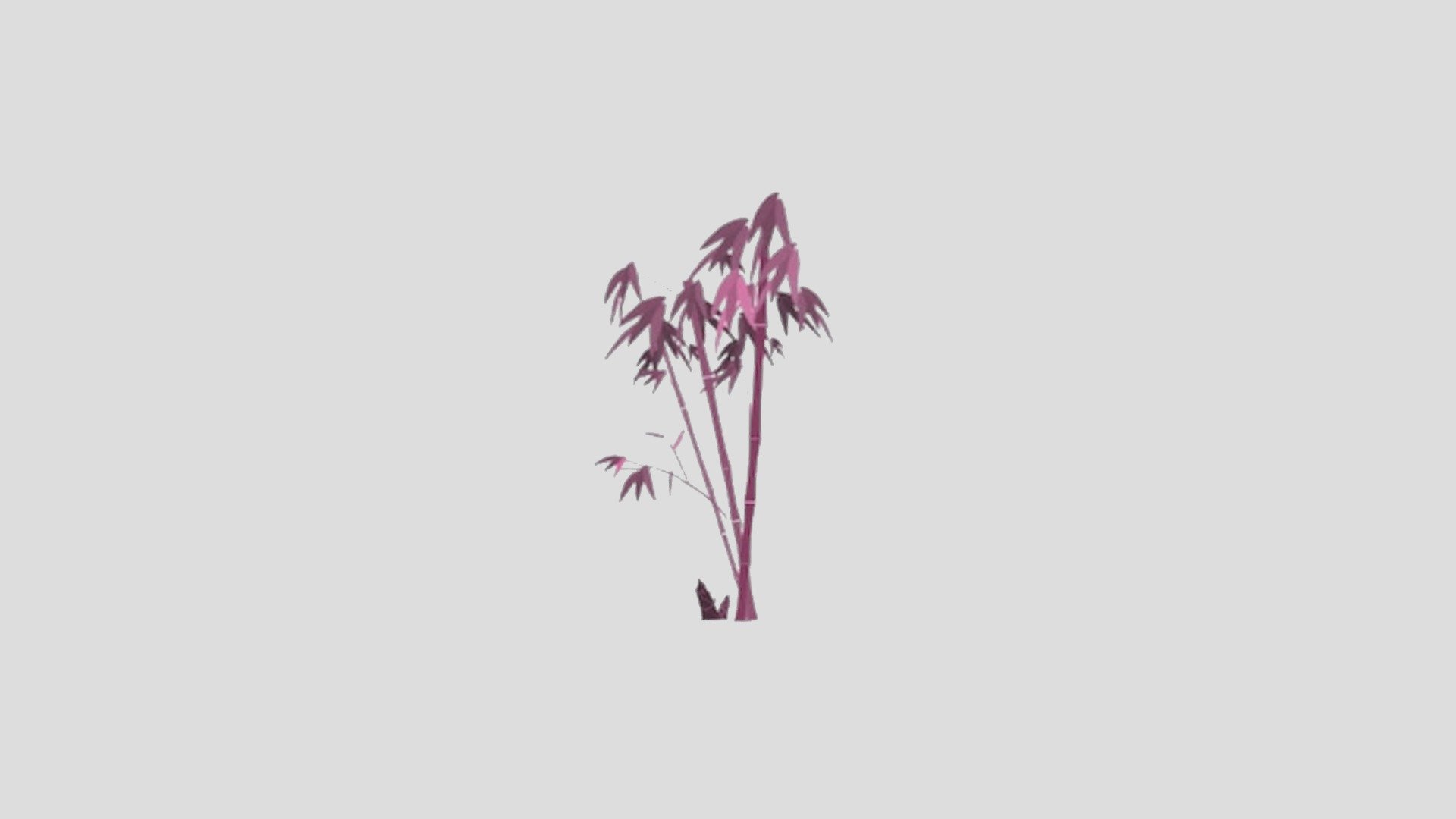 ParsMillia_Plant2