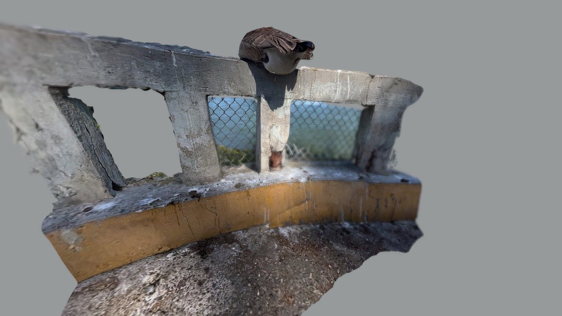 85: A goose’s fat ass