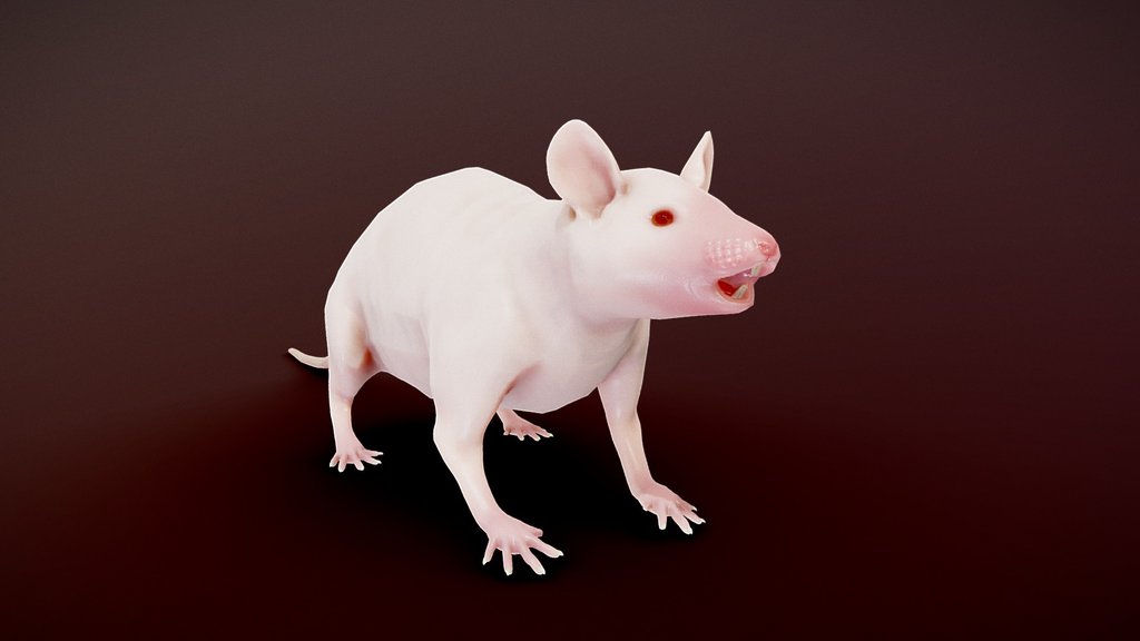 Lab Mouse
