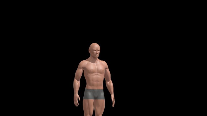 01 - Male Study 3D Model