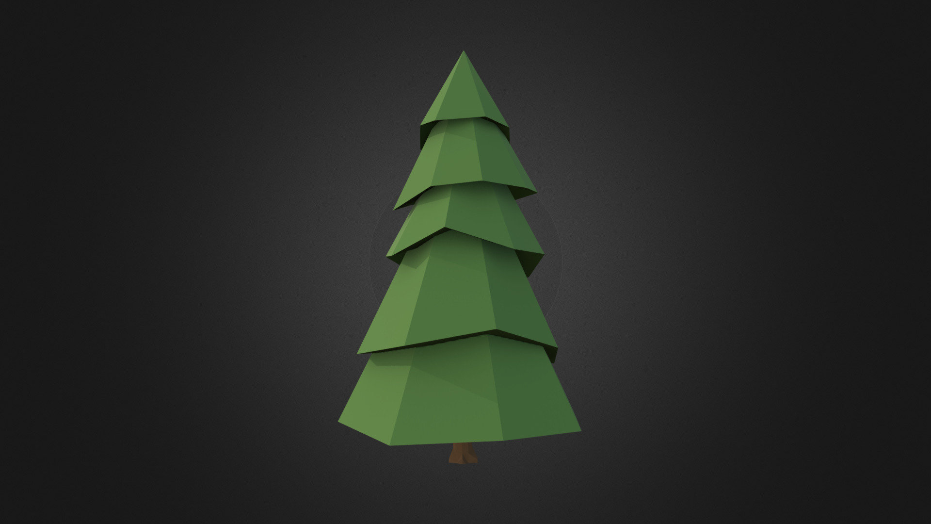 Big Tree Conifer