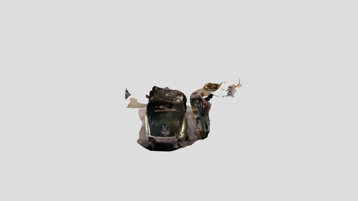 Polycam capture 3D Model