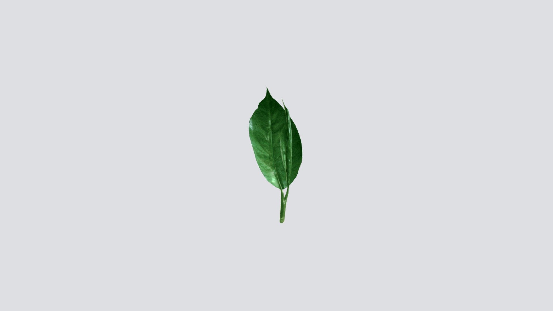 LIST0 — Sketchfab embed 3D viewer