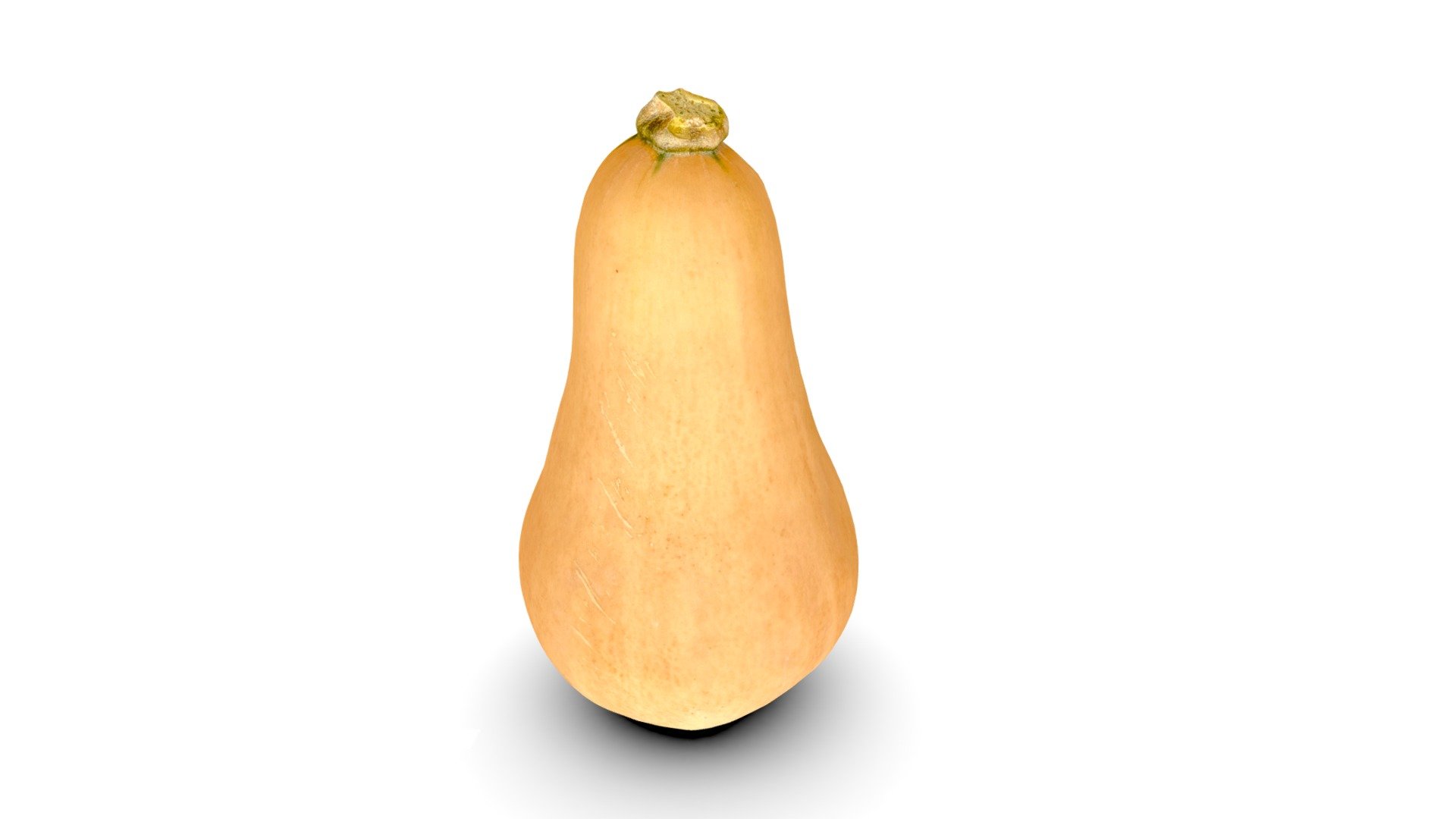 Butternut Squash バターナッツ　Photogrammetry