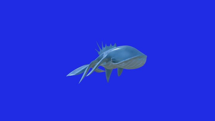 Whale Fish 3D Model