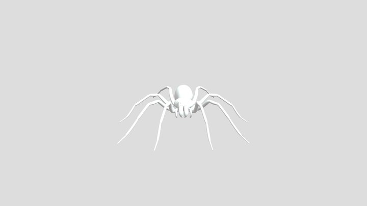 Realistic Spider 3D Model