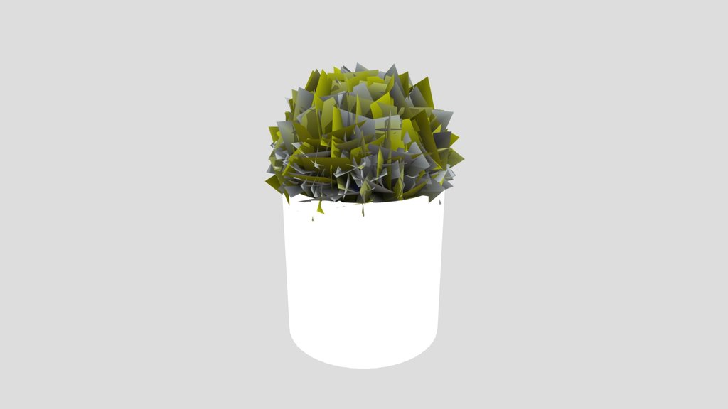 Plant Holly Bush Pot