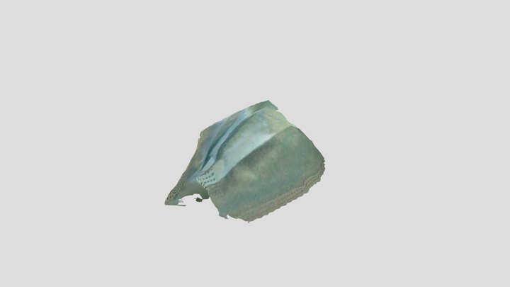 Surgical Mask 3D Model