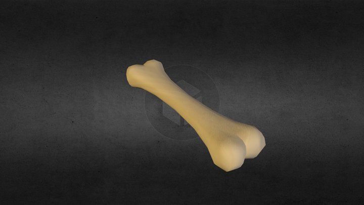 Bad Dog! - Bone 3D Model