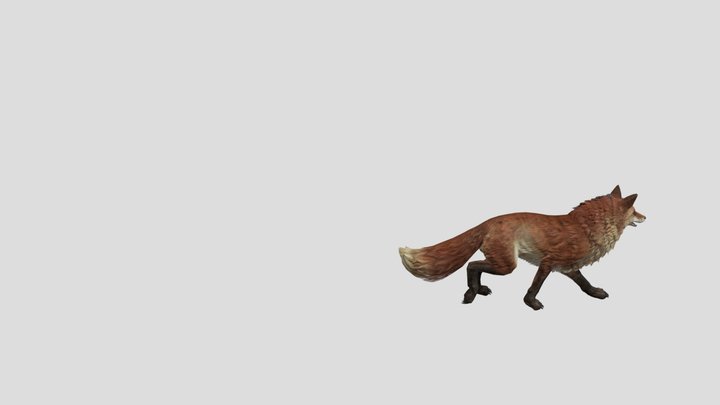 Fox-rigged 3D Model