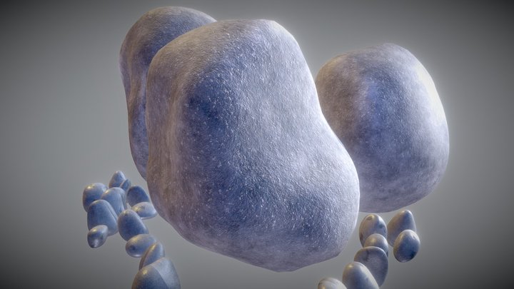 Rocks and Pebbles 3D Model