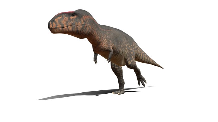 Walking Carcharodontosaurus Saharicus 3D Model