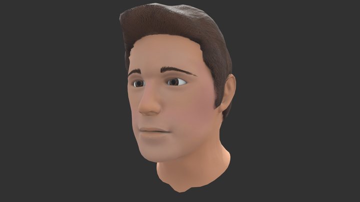 Head Bust with Textures 3D Model
