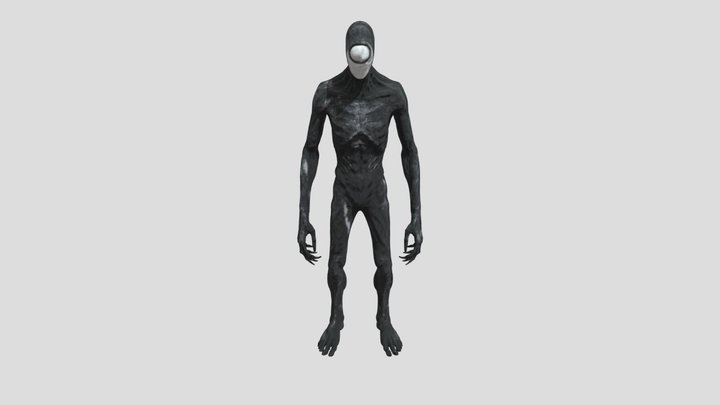 Shadowed Presence 3D Model