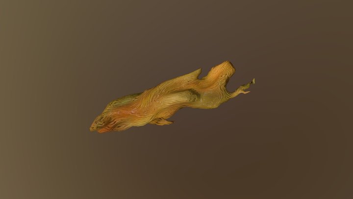 Tronco 3D Model