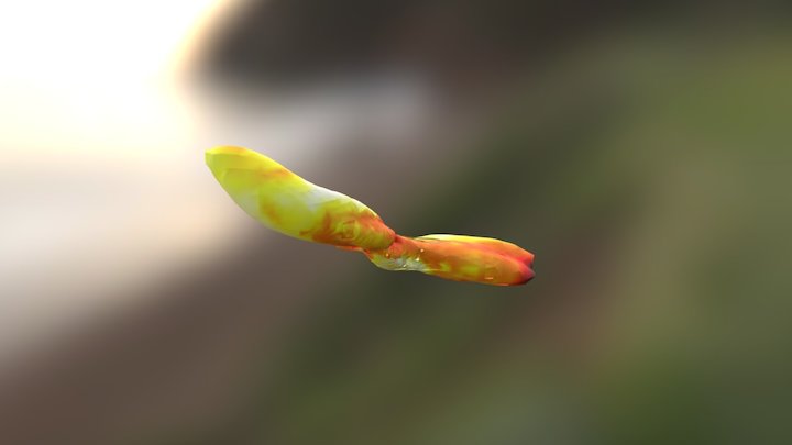 rho1e-9 3D Model