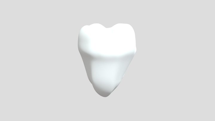 Human Tooth 3D Model – Realistic Anatomy 3D Model