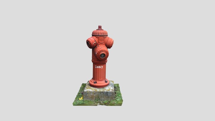 Fire Hydrant in France 3D Model