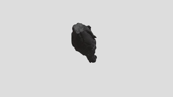 Sulica 3D Model