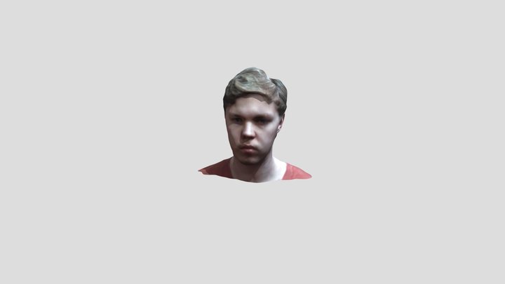 20240201_AVFX_3DAutoportret_Krajňák 3D Model
