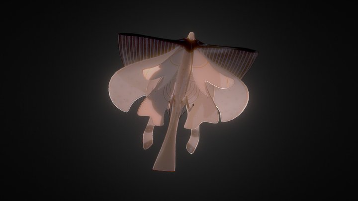 Oiseau 1 3D Model