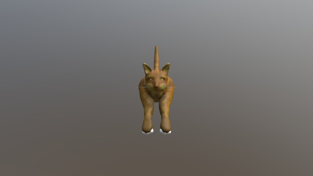 Kitty