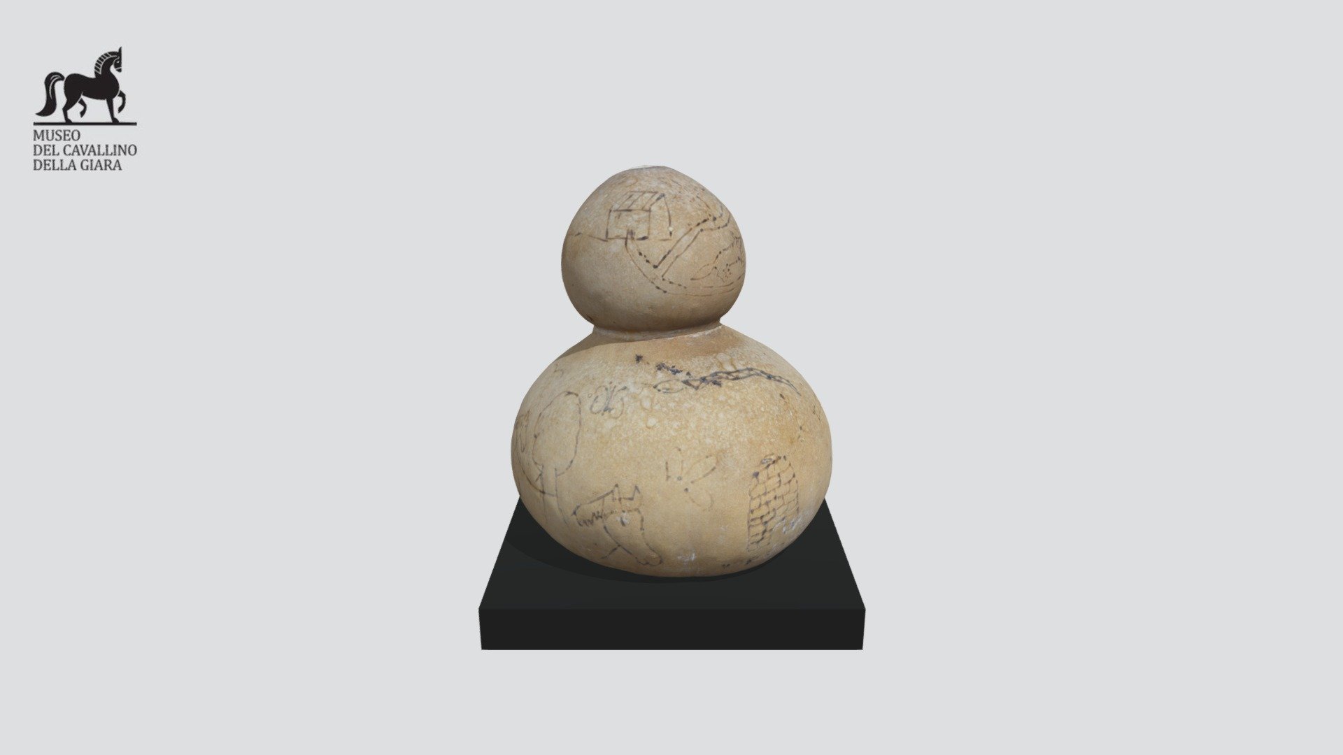 Zucca essiccata 3D model by Giara horse museum (giarahorsemuseum