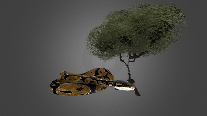 Python Snake 3D Model