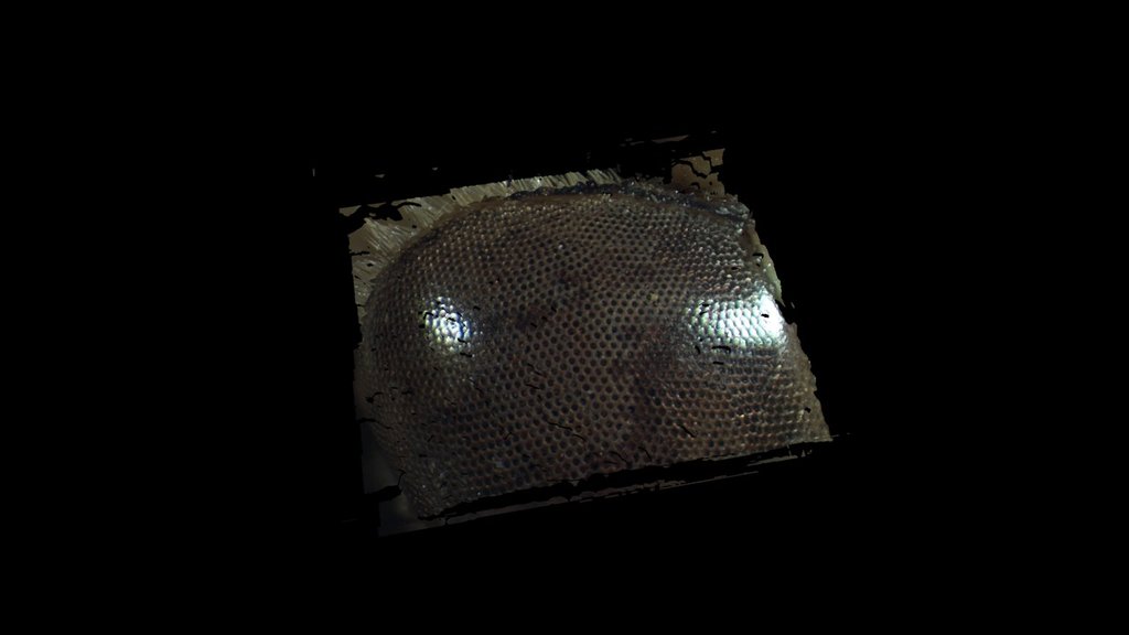 vertex only waterbug eye